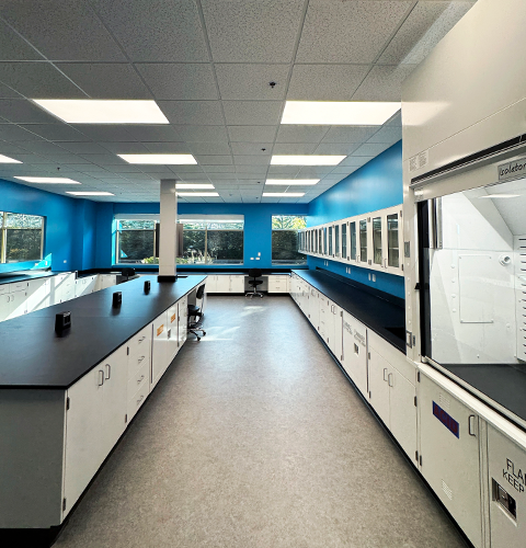 Laboratory casework and chemical fume hood