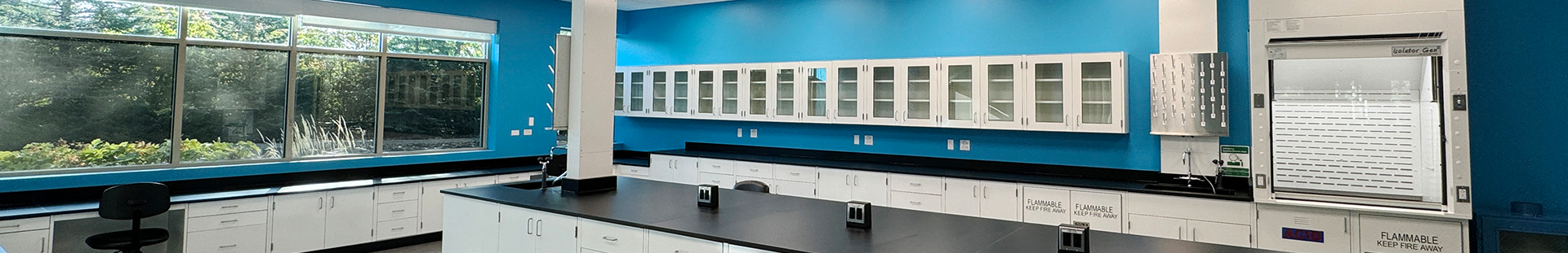 Laboratory casework and a chemical fume hood
